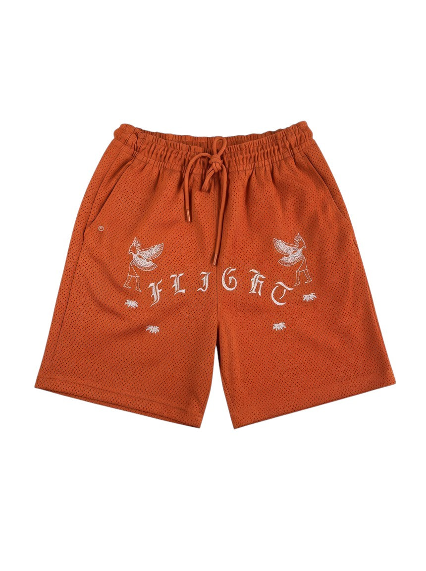 Short Jordan Sport