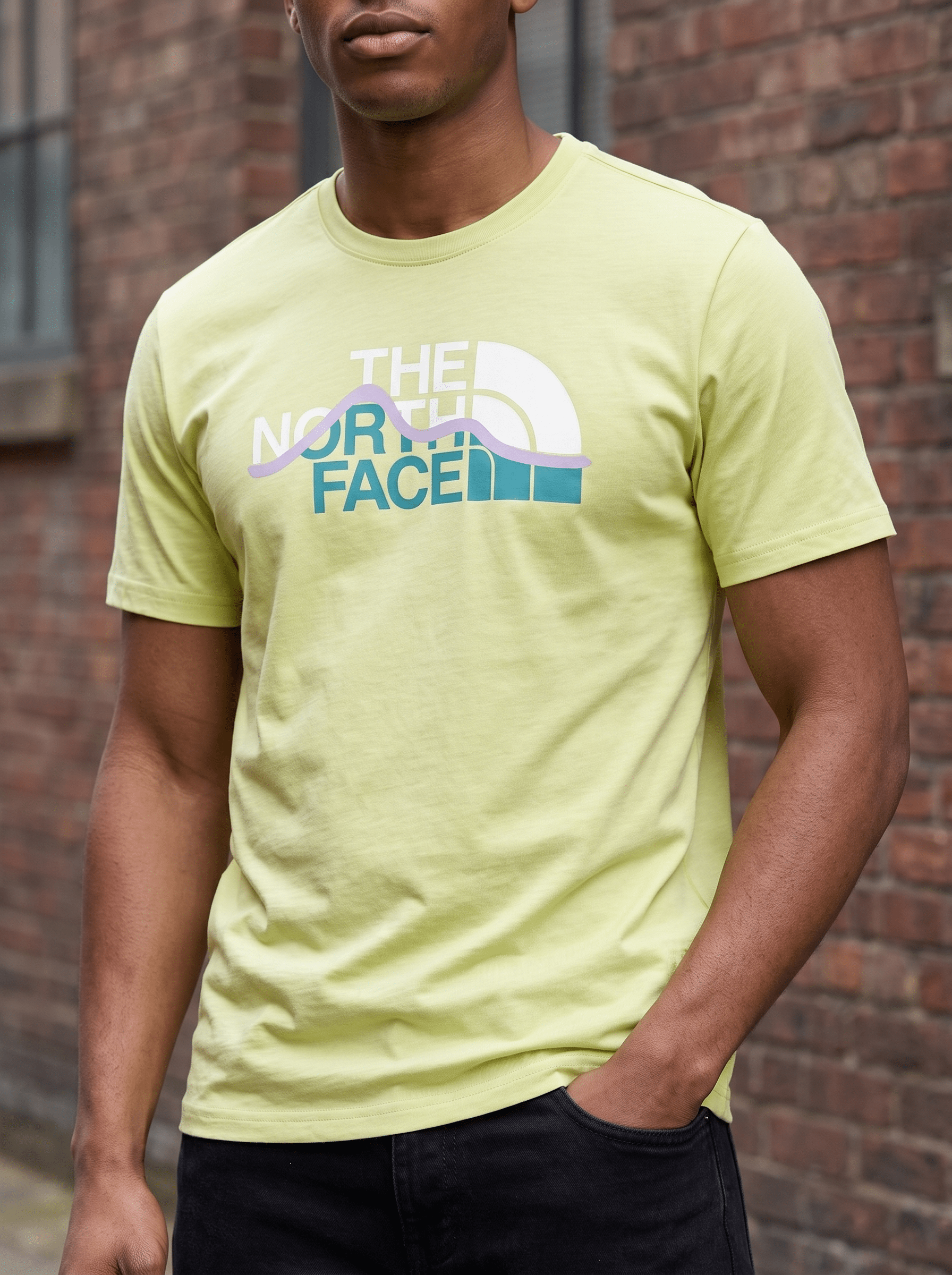 Playera The North Face - Boxroom