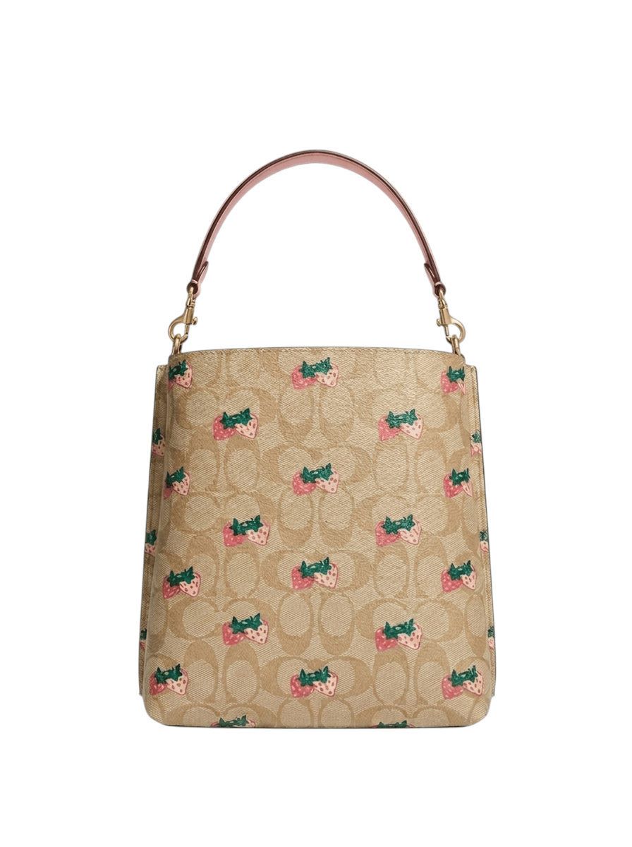 Bolsa Coach - Boxroom