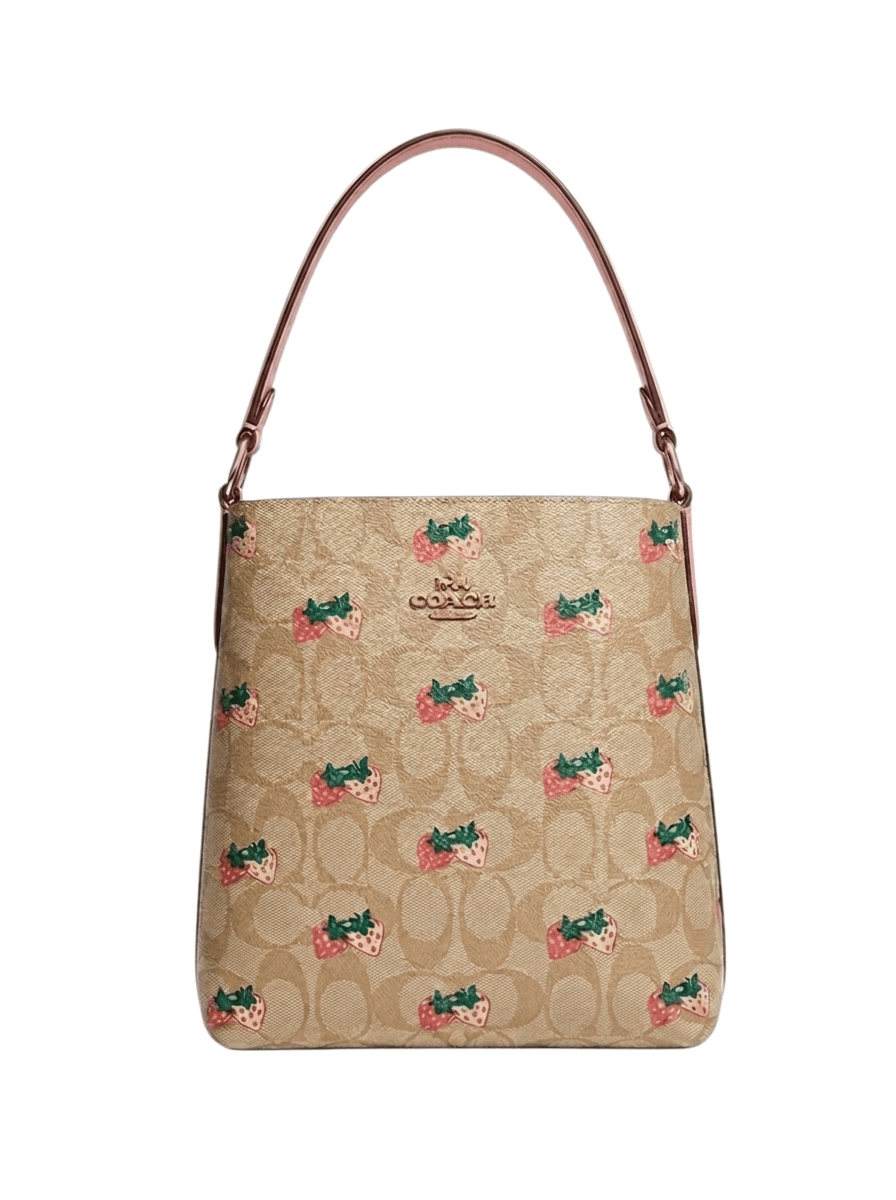 Bolsa Coach - Boxroom