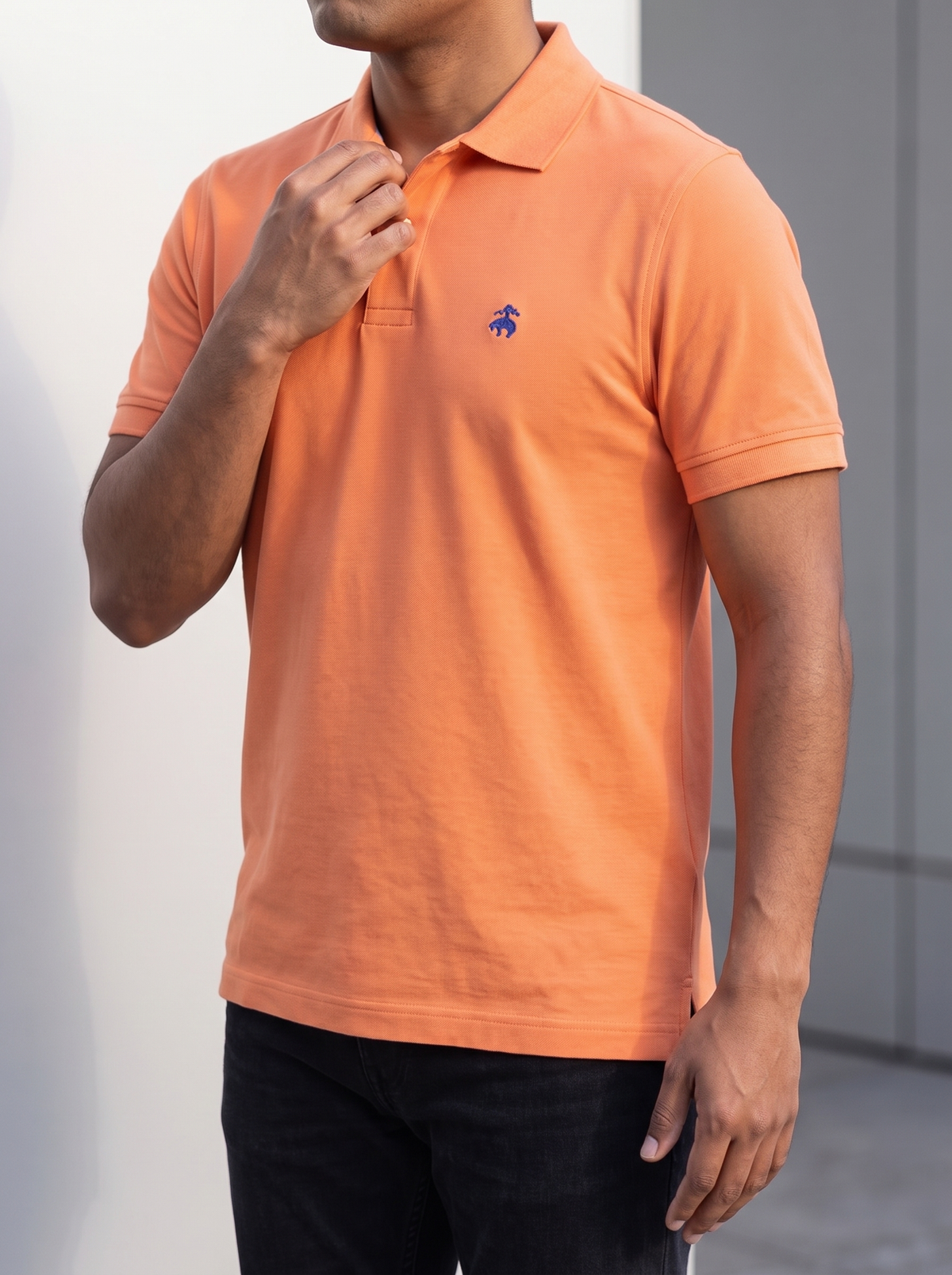 Polo Brooks Brothers