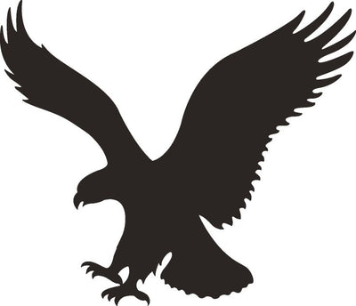 American Eagle