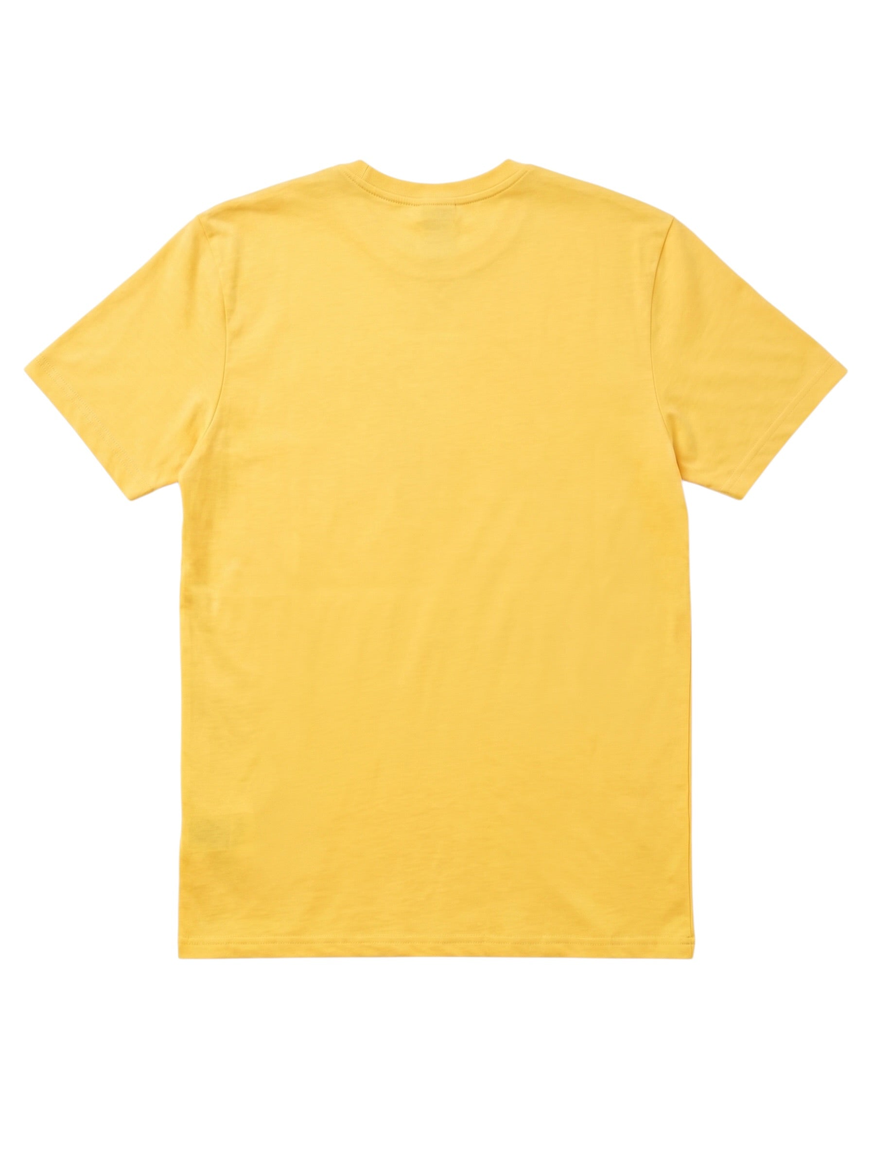Playera The North Face