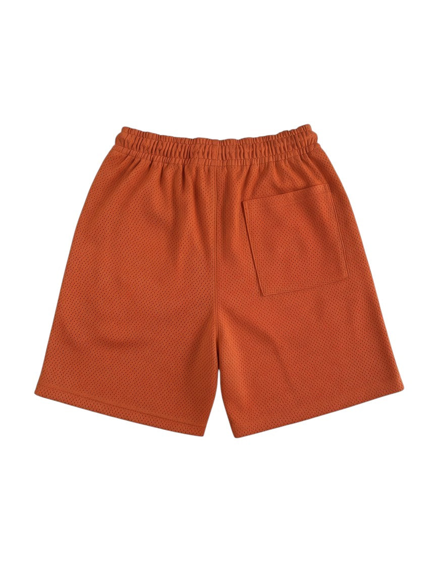 Short Jordan Sport