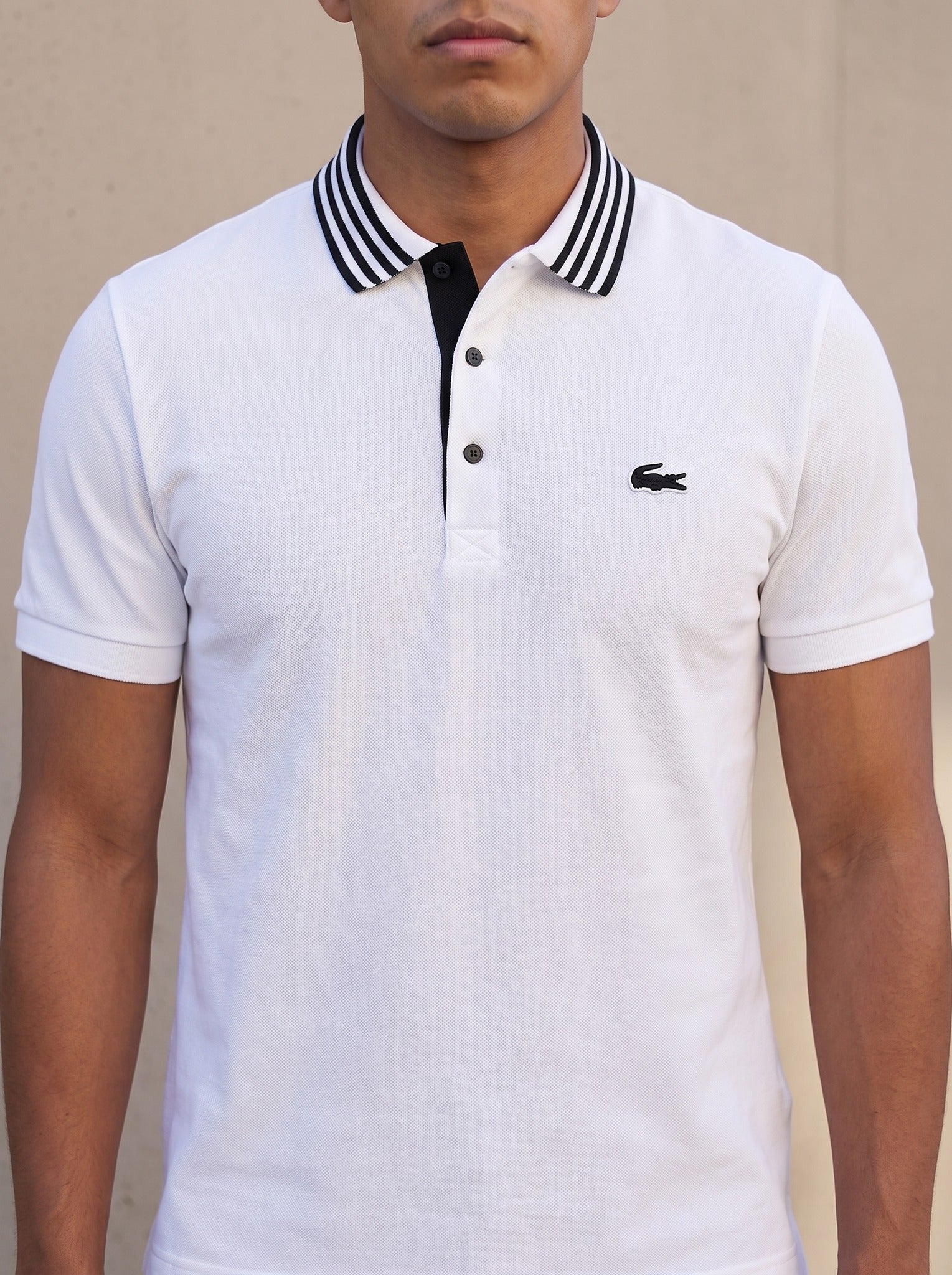 Polo Lacoste - Boxroom