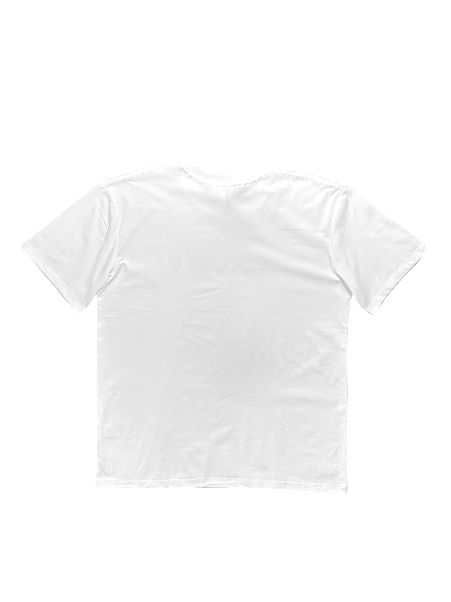 Playera The North Face