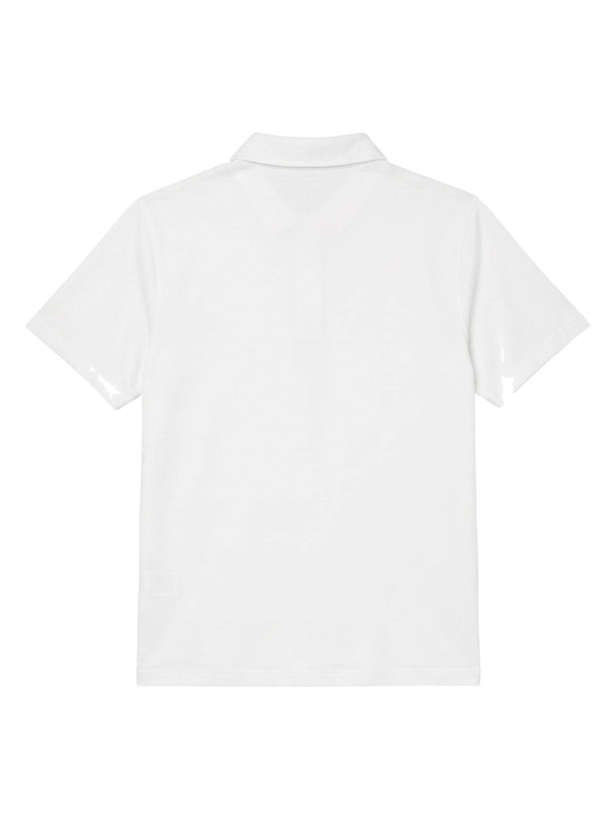 Polo Alo