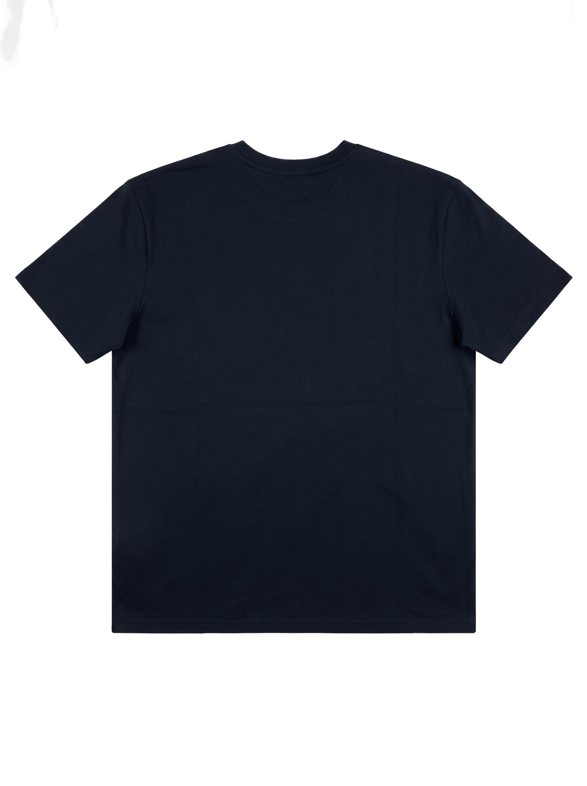 playera-true-religion-1 atras