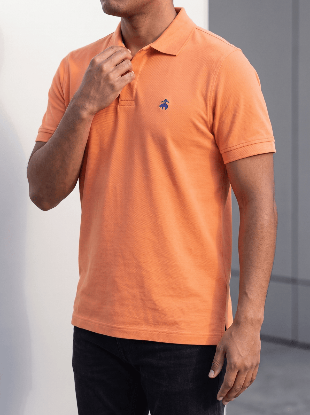 Polo Brooks Brothers